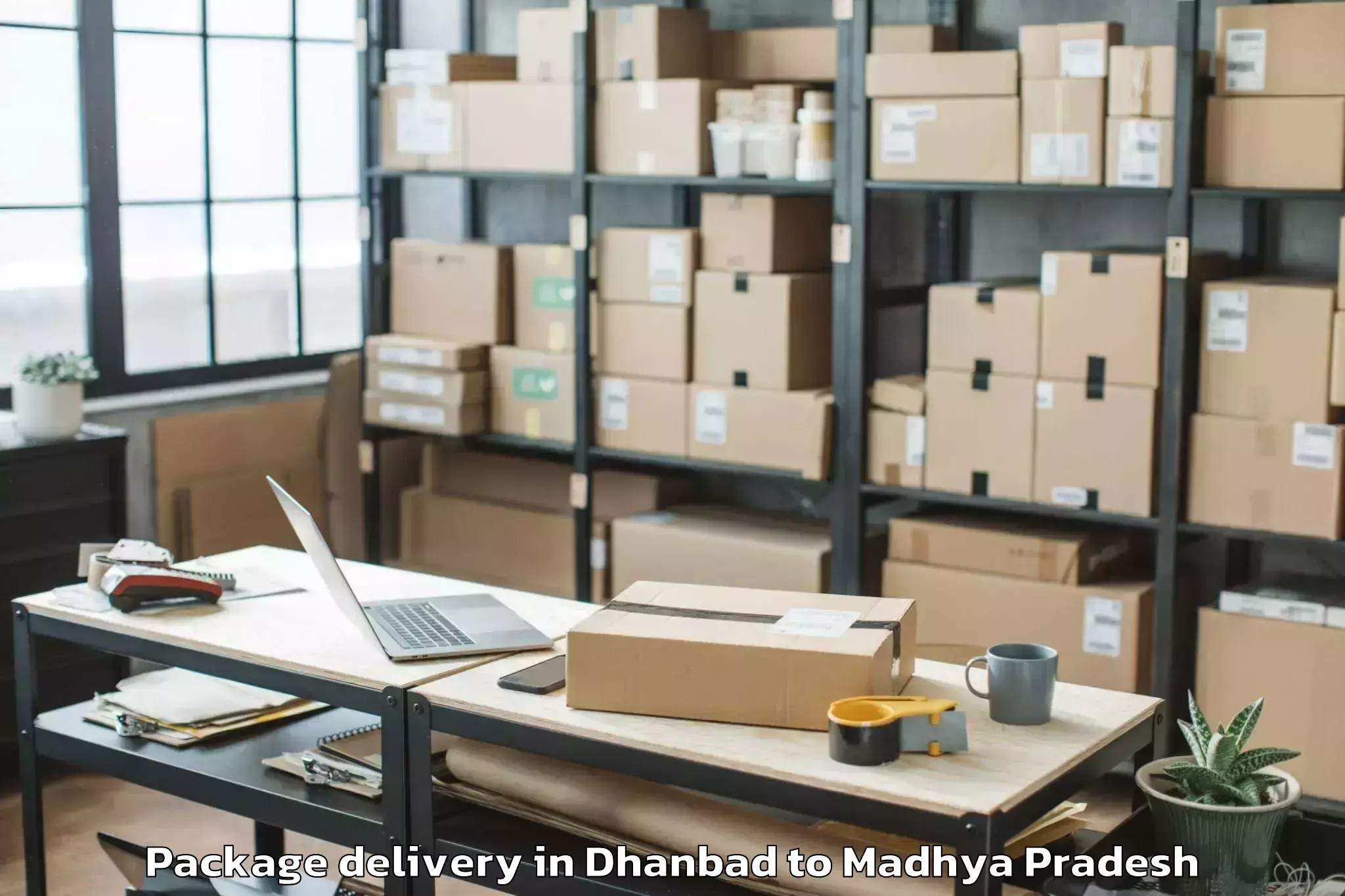 Reliable Dhanbad to Bhander Package Delivery